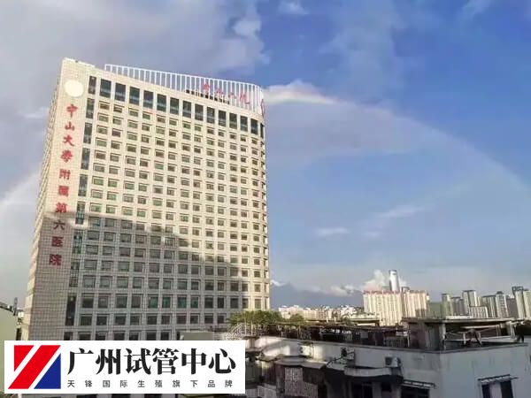 中山六院