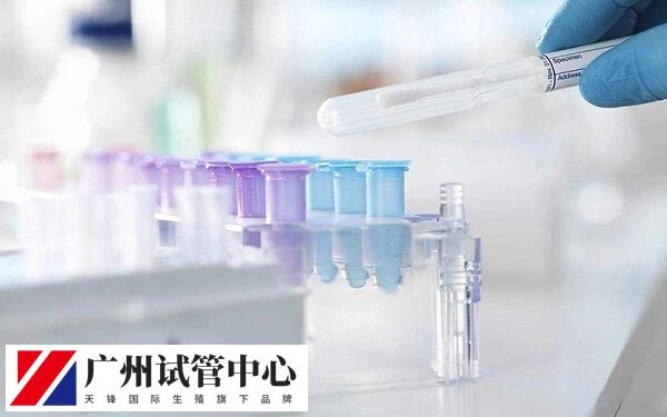 包生男孩包成功的医院是不存在的
