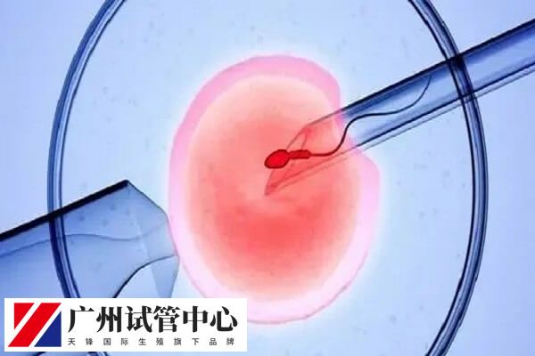 一代和二代试管费用有几千元的差距