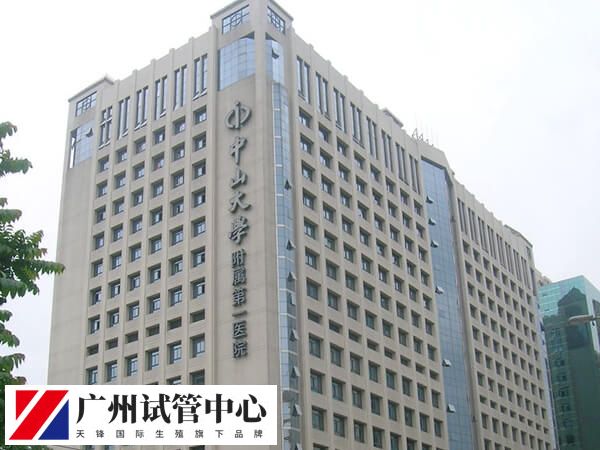中山一院第一二三代试管费用是多少？